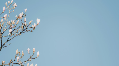 Caring for a dying person