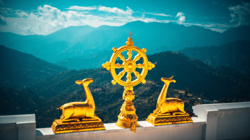 Il Sentiero della Cessazione e la Cessazione stessa 