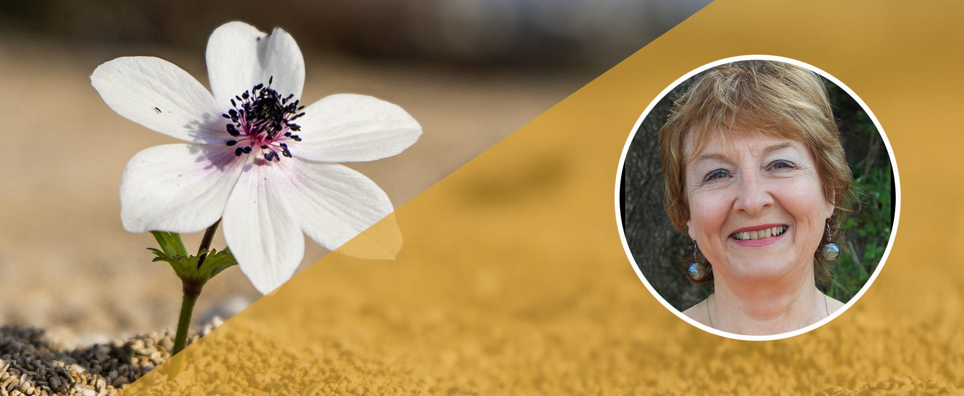 Dharma Talk with Dominique Side — A New Way of Seeing the World